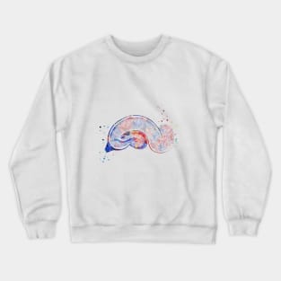 Brain Pyramidal Crewneck Sweatshirt